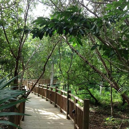 Mayan Palace Vidanta Resort Riviera Maya Puerto Morelos Dış mekan fotoğraf