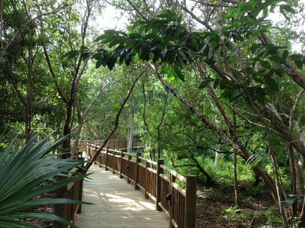 Mayan Palace Vidanta Resort Riviera Maya Puerto Morelos Dış mekan fotoğraf